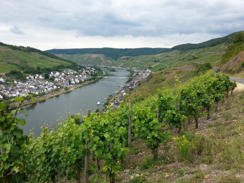 "Ferienhaus An Der Mosel" Zell an der Mosel Eksteriør bilde