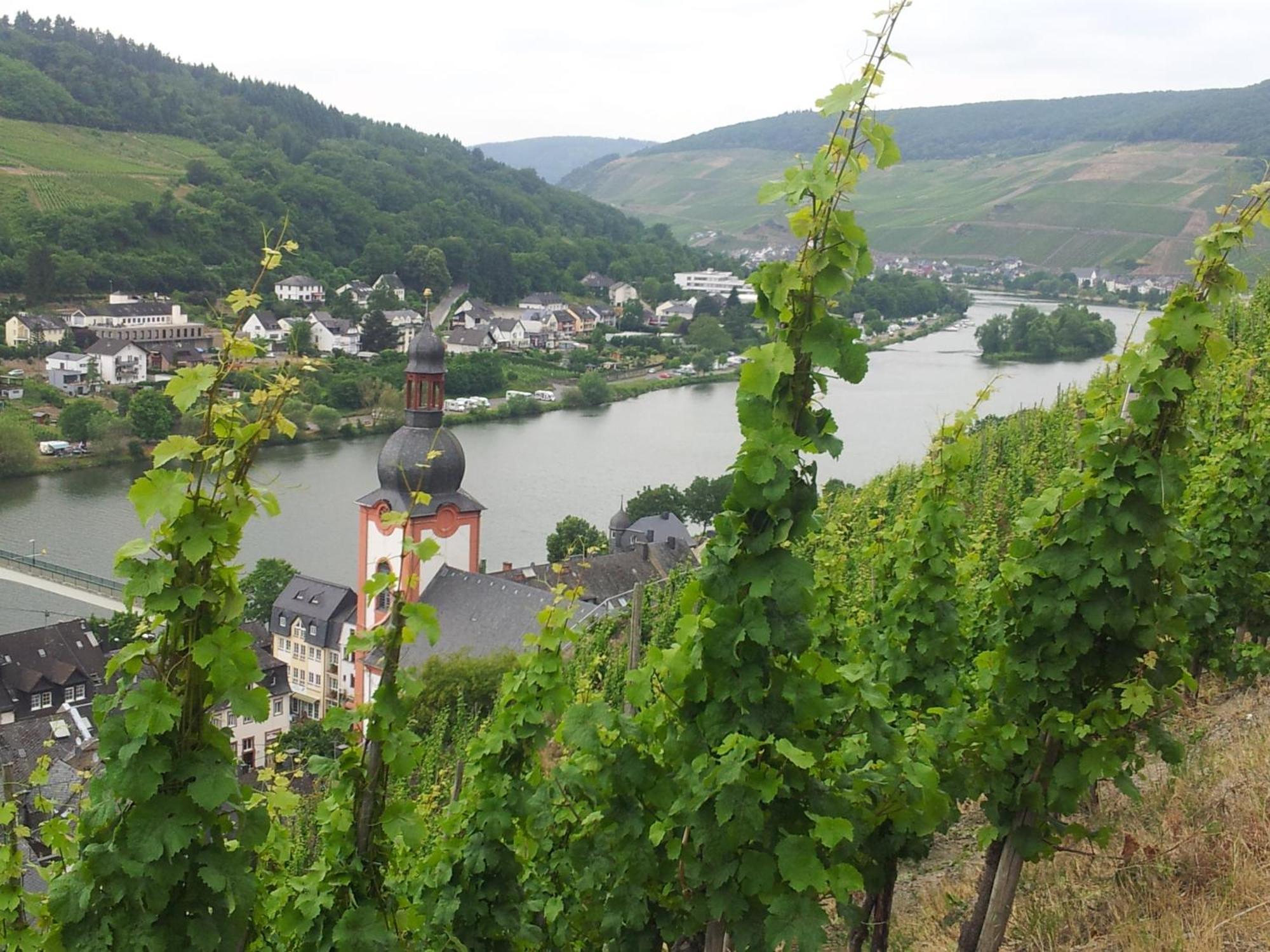 "Ferienhaus An Der Mosel" Zell an der Mosel Eksteriør bilde