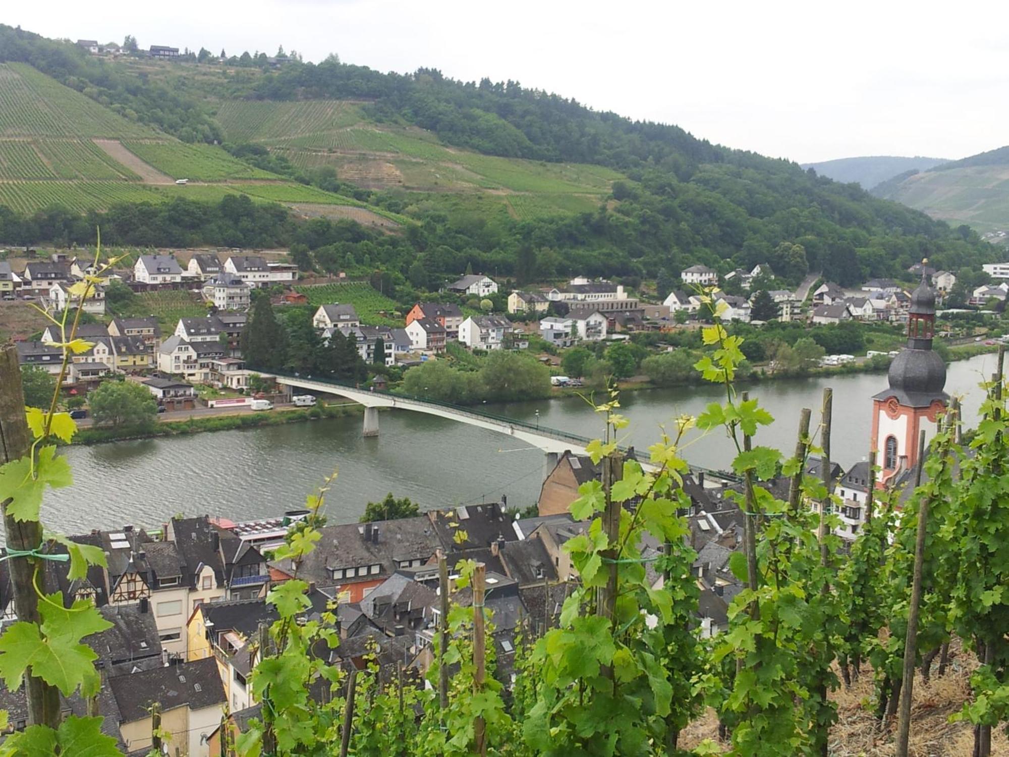 "Ferienhaus An Der Mosel" Zell an der Mosel Eksteriør bilde